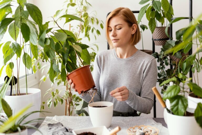 Woman holding plant pot in a room with many plants